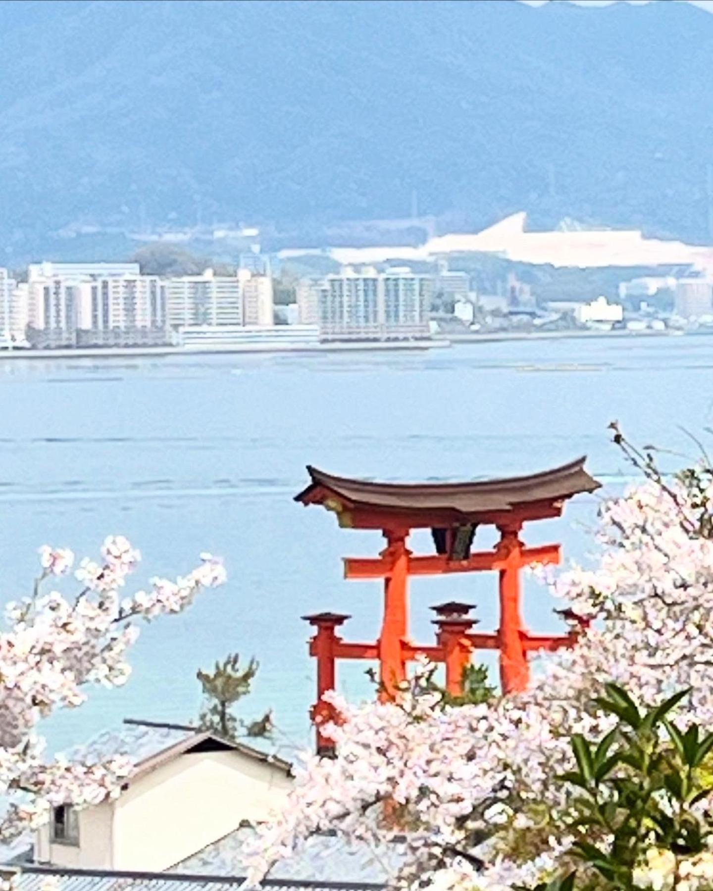 宮島 町家宿 進龍庵 Hatsukaichi Exterior foto